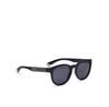 Polaroid PLD 2150/S Sunglasses