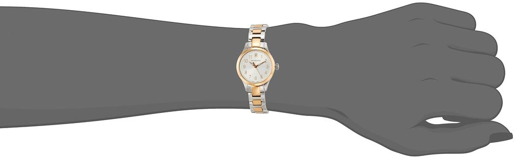 Watch ALLIANCE XS Stainless Steel Case Silver Dial Stainless Steel Bracelet Gift 241842 [Victorinox] (316L) 2-tone [