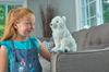 Wild Republic Arctic Wolf Plush Toy, Soft Material, Wild Animal, Gift, Present, Cuddlekins, W12 X D35 X H28cm, 20072