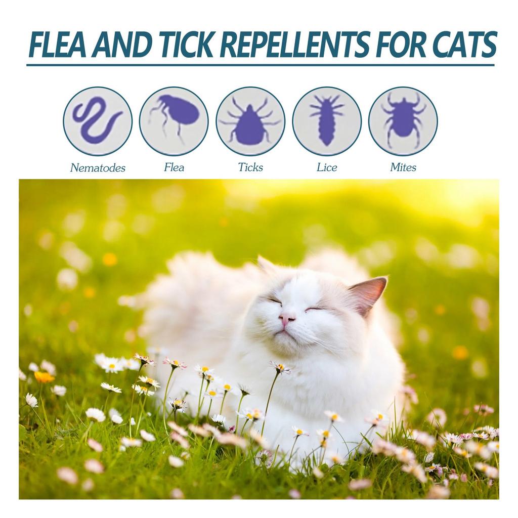 Pet Flea Drops Mites Ticks Lice Insect Itch Skin Prevention Dog Flea Liquid 50ML