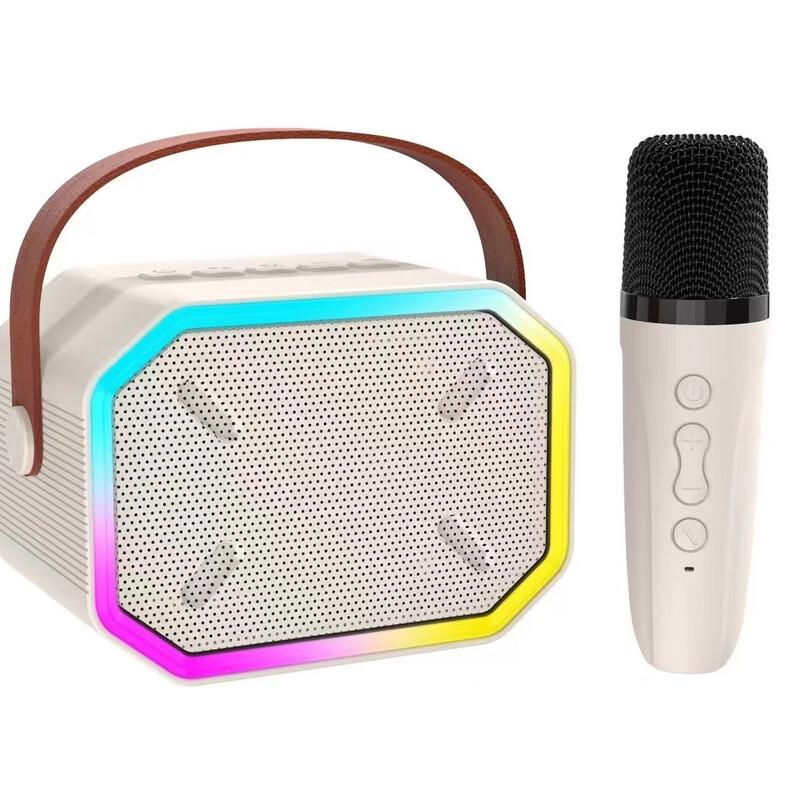 Portable Karaoke Bluetooth Speaker with Dual Microphones CN Plug (adapter Included)