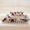 Husky & Chihuahua Plush Dog Toy - Comfort Puppy Doll