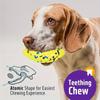 Hunde – Hundespielzeug