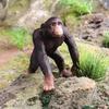 Kids' Cognitive Walking Gorilla Toy Model Ornament