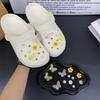 Fashionable Shoe Accessory Set, with a Shoe Chain Clasp, Removable, Suitable for Sandals and Flip-flops.