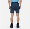 Regatta Mountain II Shorts