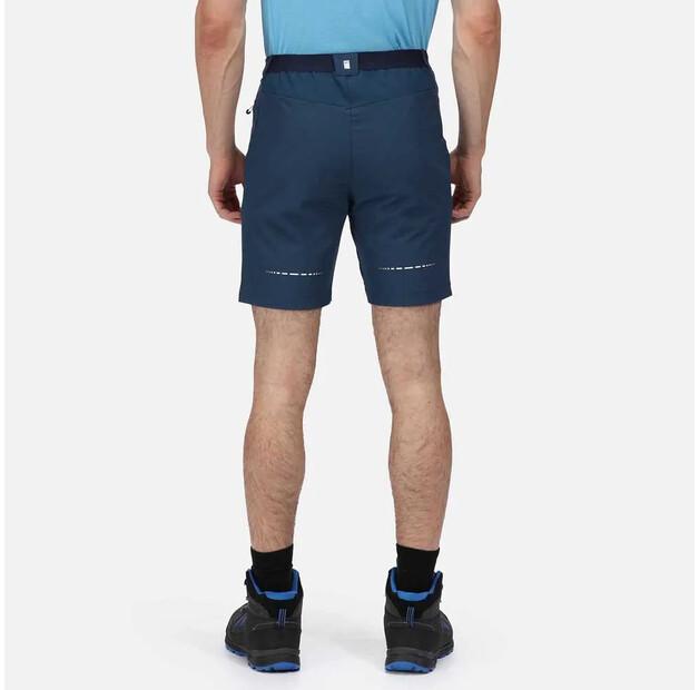 Regatta Mountain II Shorts