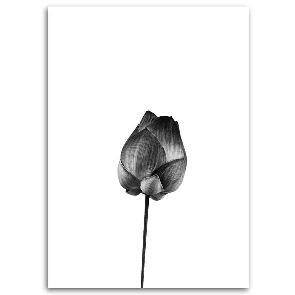 Canvas Print Black and White Flower