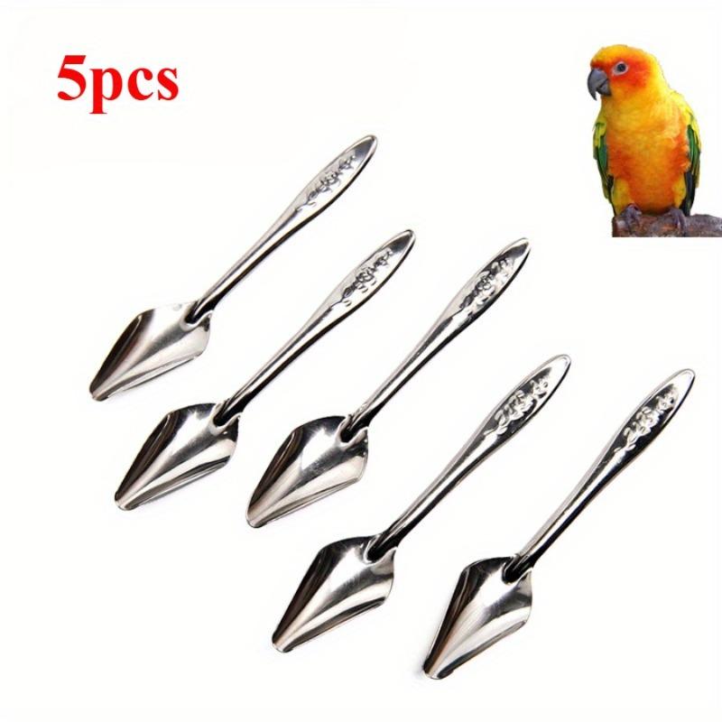 5pcs Stainless Steel Hand Feeding Spoon Suitable for Various Birds Parrots Medicine Milk Powder Feeding Tools.