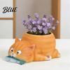 Langlebige Harz-Katzenfigur Pflanzgefäß Fressender Fisch Pflanzgefäß Niedriger Blumentopf mit Drainage Lustiger Kleiner Innenbehälter Corgi für Sukkulenten Pflanzen,