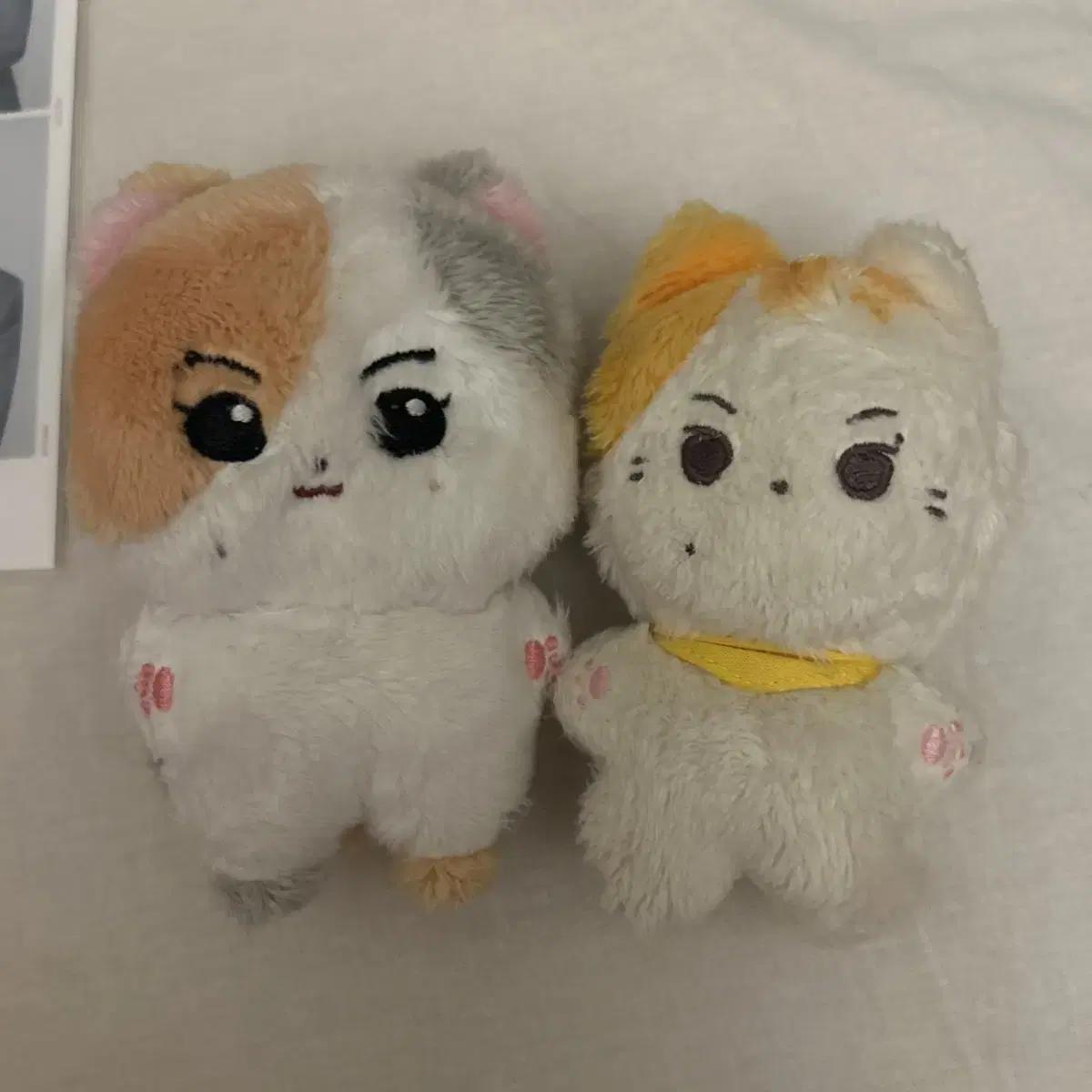 

Enhypen Jungwon Doll, Korean Cat, Girl, Chan Cat