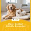 Dog Sofa Bed, Washable Pet Bed with Removable Cover and Non-Slip Bottom for Small, Medium and Large Dogs, Grey