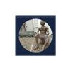 L'homme À Tête De Chou - Mix 2023 Édition Limitée Picture Disc