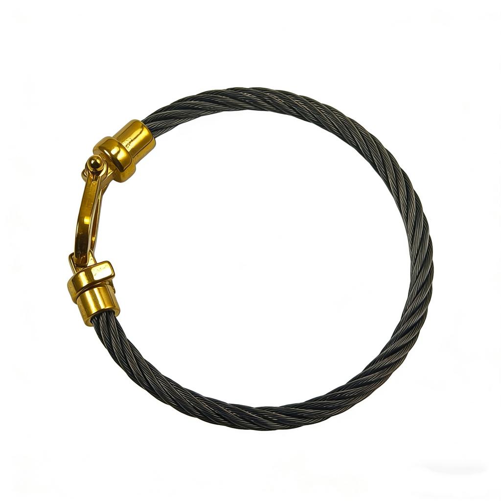 2026 Fashion Trend European and American Horseshoe Magnet Buckle Steel Wire Bracelet Jewelry