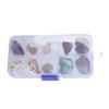 Floating Seashells Display Box Large-capacity Seashells Decorative Storage Box for Home and Beach Decoration