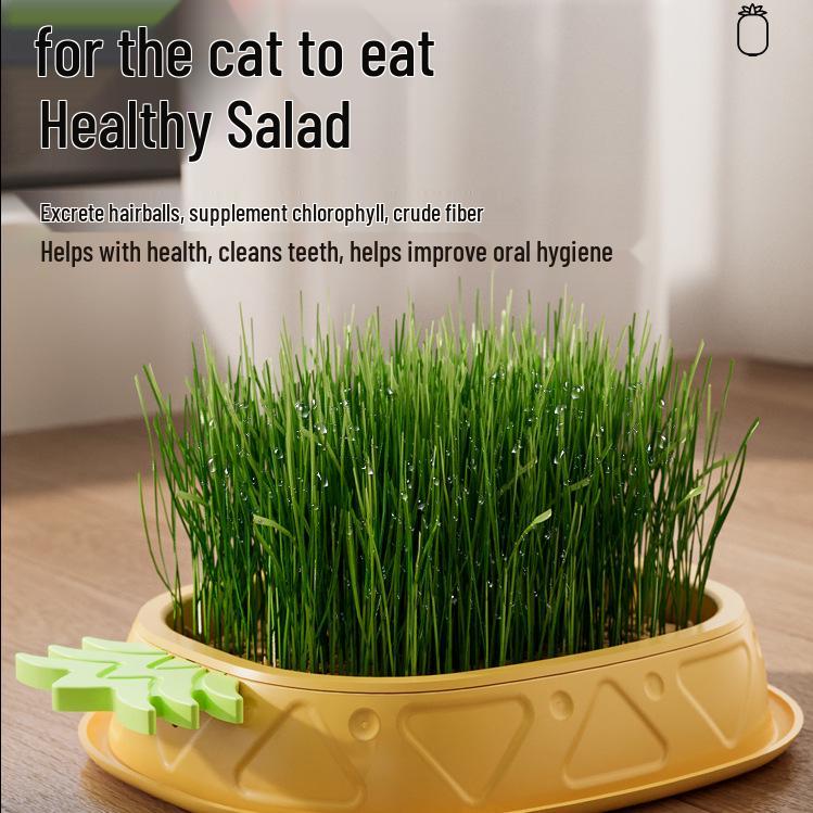 Cat Grass Hydroponic Kit: Wheatgrass Catnip Snacks for Hairball Relief