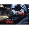 Tenyo Flash Magic 500 Piece Jigsaw Puzzle Harry Potter Hogwarts Express 51x73.5cm with Glue and Card