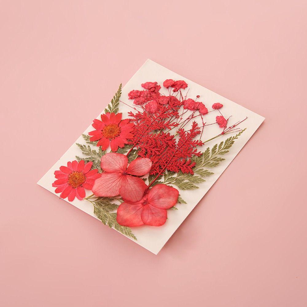 Handmade Dried Flower Stickers DIY Materials Flower Page Bookmark DIY Dried Flower Bookmarks  Kids