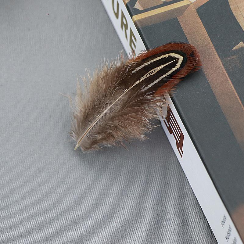Natural Feather Diy Feather Dachang Feather Pheasant Hair Headdress Accessories Clothing Accessories 5-8Cm Colored Feather