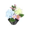 1/12 Miniature Potted Flower Model Figurine For Doll House Scene Display Accessories Microlandscape Setting Props