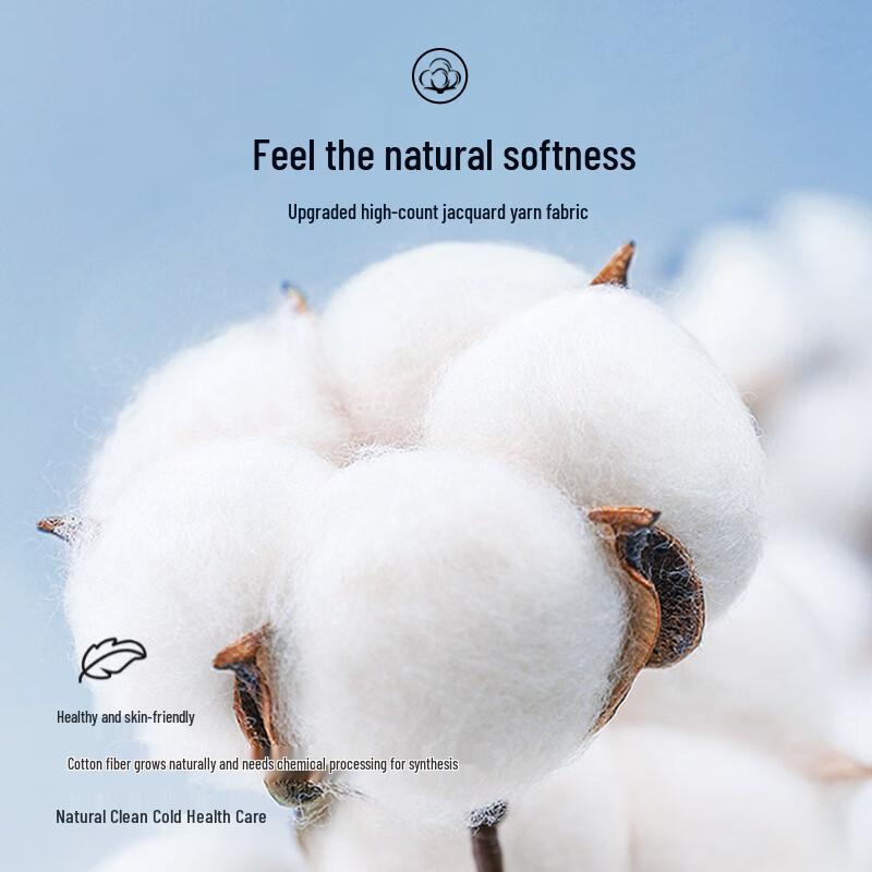 Ting Mei Women's High-Waisted Seamless Cotton Briefs