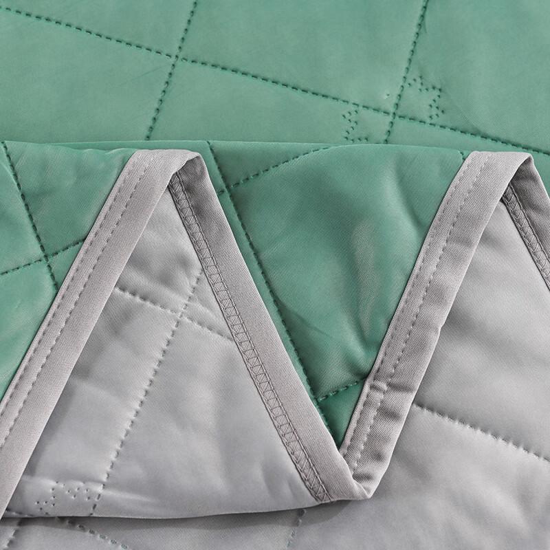 Mugwort Cooling Silk Summer Comforter
