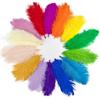10Pcs Table Accessories Ostrich Feathers Stage Props Artificial Ostrich Feather  Party Decoration