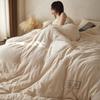Brangdy Soybean Fiber Winter Quilt
