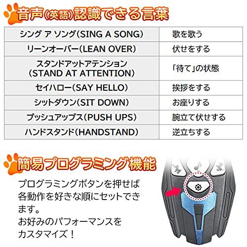 ROBOT PLAZA Robot Dog Children's Toy Educational Toy Popular Dog Robot Pet Robot Dog Simple Programming Robot Pet Birthday Gift Boys