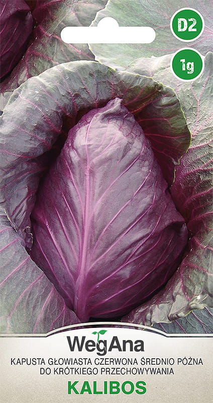 Red Head Cabbage Kalibos Seeds 1g Cabbage Seeds - WegAna