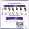 Crest 3D Brilliance Deep Clean Whitening Toothpaste