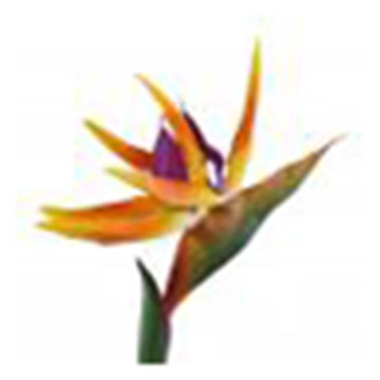 Artificial Flower Bird Of Paradise Fake Plant Silk Strelitzia Reginae Home Decor