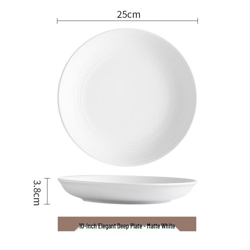 

ZISIZ Frosted Dinner Plate