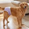 Leak-proof Pet Diapers Breathable Dog Menstrual Pants Pet Supplies Pet Underwear  Dog Heat Season