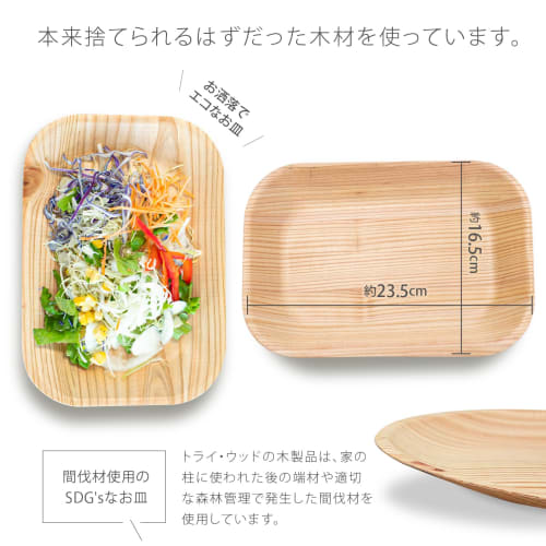Try Wood Eco Wood Plates (10-Pack / Square / 16.5 X 23.5 Cm) Made In Japan with Japanese Cedar (Wooden Dishes That Can Be Used Like Paper Plates / Eas
