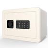 Deli H250 Electronic Fingerprint Password Safe Box