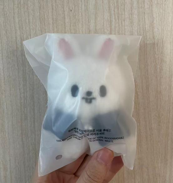 

[USED] StrayKids Leebit 10CM PLUSH skzoo