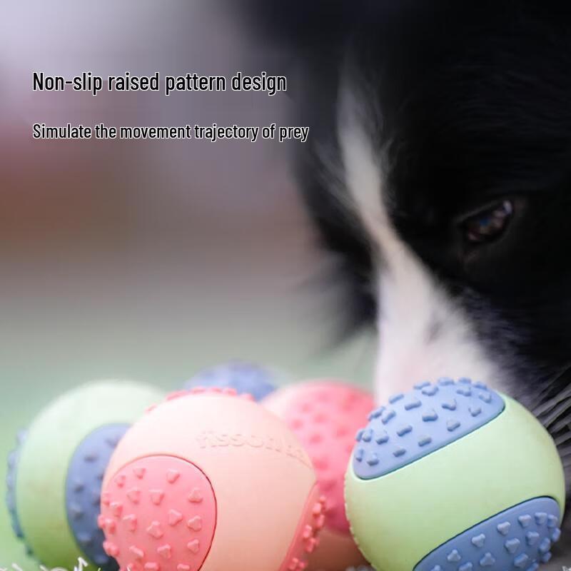 Pet Dog Squeaky Chew Toy Ball
