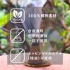 Von Mais Weihrauch 36 Stück Stück x 3 Damar Fermentiertes Wasser Weihrauch aus Bali Zur schnellen Reinigung und Meditation [Beliebtes 3er-Pack Weihrauch]