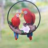 Parrot Pendant, Waterproof Resin Outdoor Garden Decoration with Iron Ring Suspension, Realistic Macaw Pair Hanging Ornament for Balcony Trees Indoor