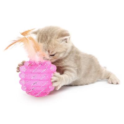 Interessante palla giocattolo per gatti domestici con piuma realizzata in tubo di linea Palla rotolante per esercizi per gattini