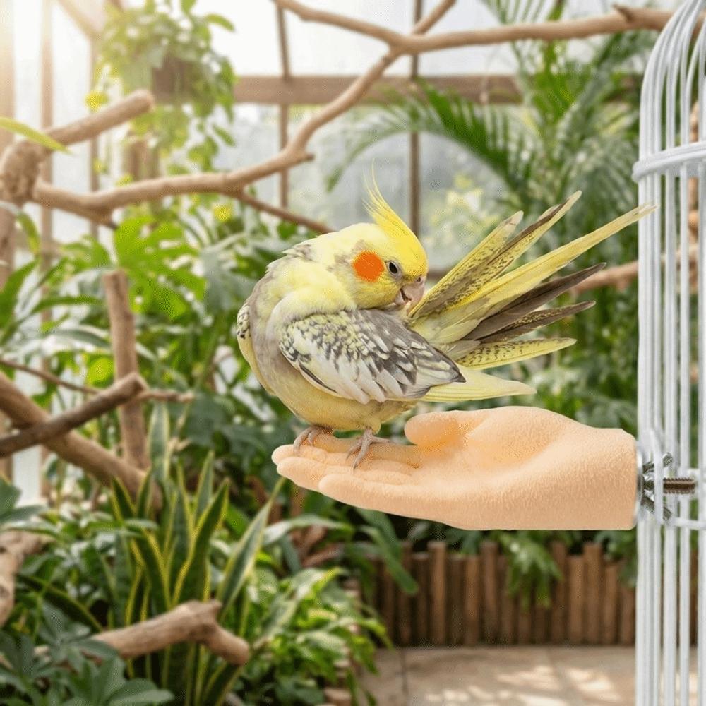 Mano Finta Resistente ai Morsi Palo di Riposo per Uccelli Bastone Antiscivolo per Parrocchetti Animale Domestico Interattivo