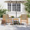 VidaXL Set of 2 Garden Chairs, Seats with Armrests, Armchairs with Backrest Patio, Modern, Beige Woven Resin and 368710