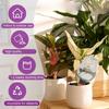 Transparents Plant Watering Globes for 14 Days Automatic Irrigation Adjustable Flows Leakproof Wide Mouthes Easyly Fill