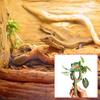 2Pieces Artificial Climbing Branch Exercise Vine for Reptiles Habitats with Realistic Texture and Stable Build Decoration