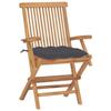 VidaXL Lot de 2 Chaises de Jardin avec Coussins, Sièges de Terrasse, Chaises de Salle à Manger, Meubles de Patio Extérieur, 3062502