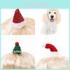 Entzückende Hellgoldene Lange Gewellte Haustier-Perückenmütze Für Hunde Und Katzen Perfekt Für Weihnachtsfeiern