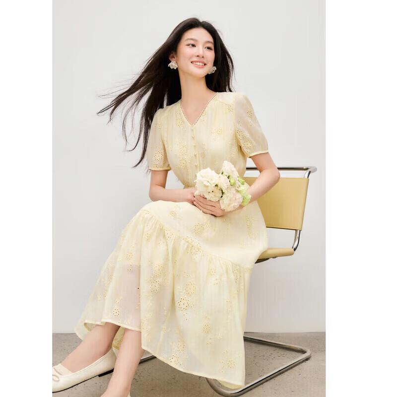 Autumn Water Lady V-Neck Puff Sleeve Embroidered Dress