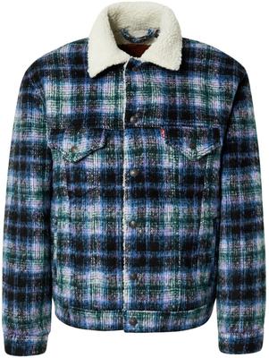 Demi-season Jacket Type 3 Sherpa Trucker Jacket Vintage Fit Multi/color