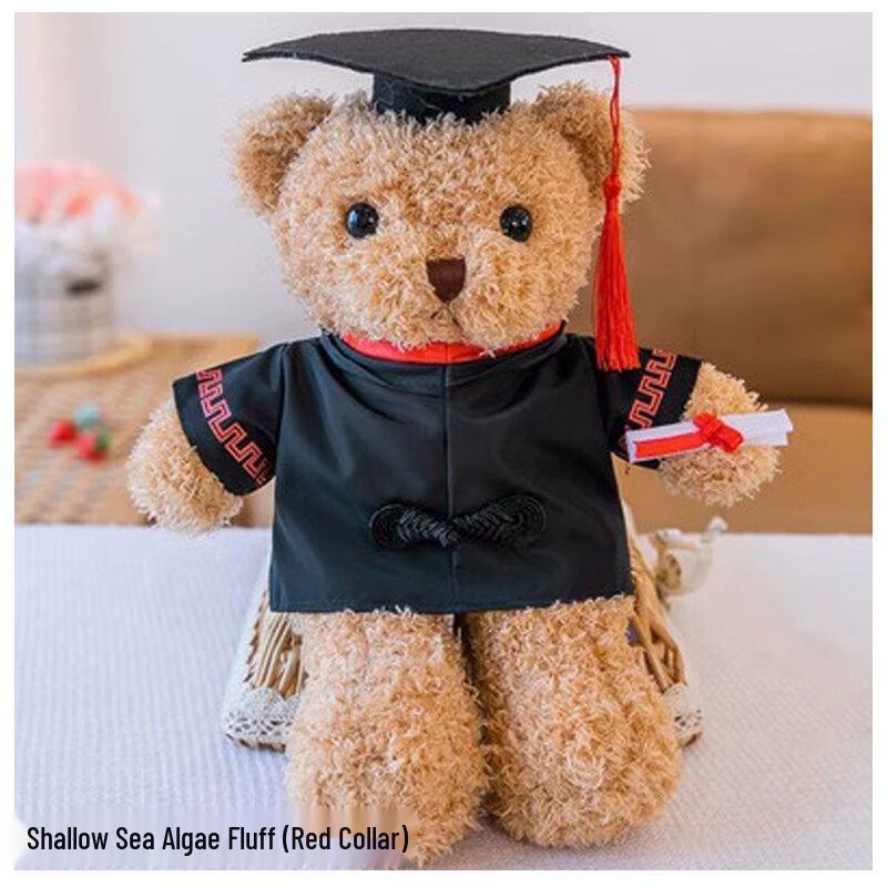 Graduation Plush Bear